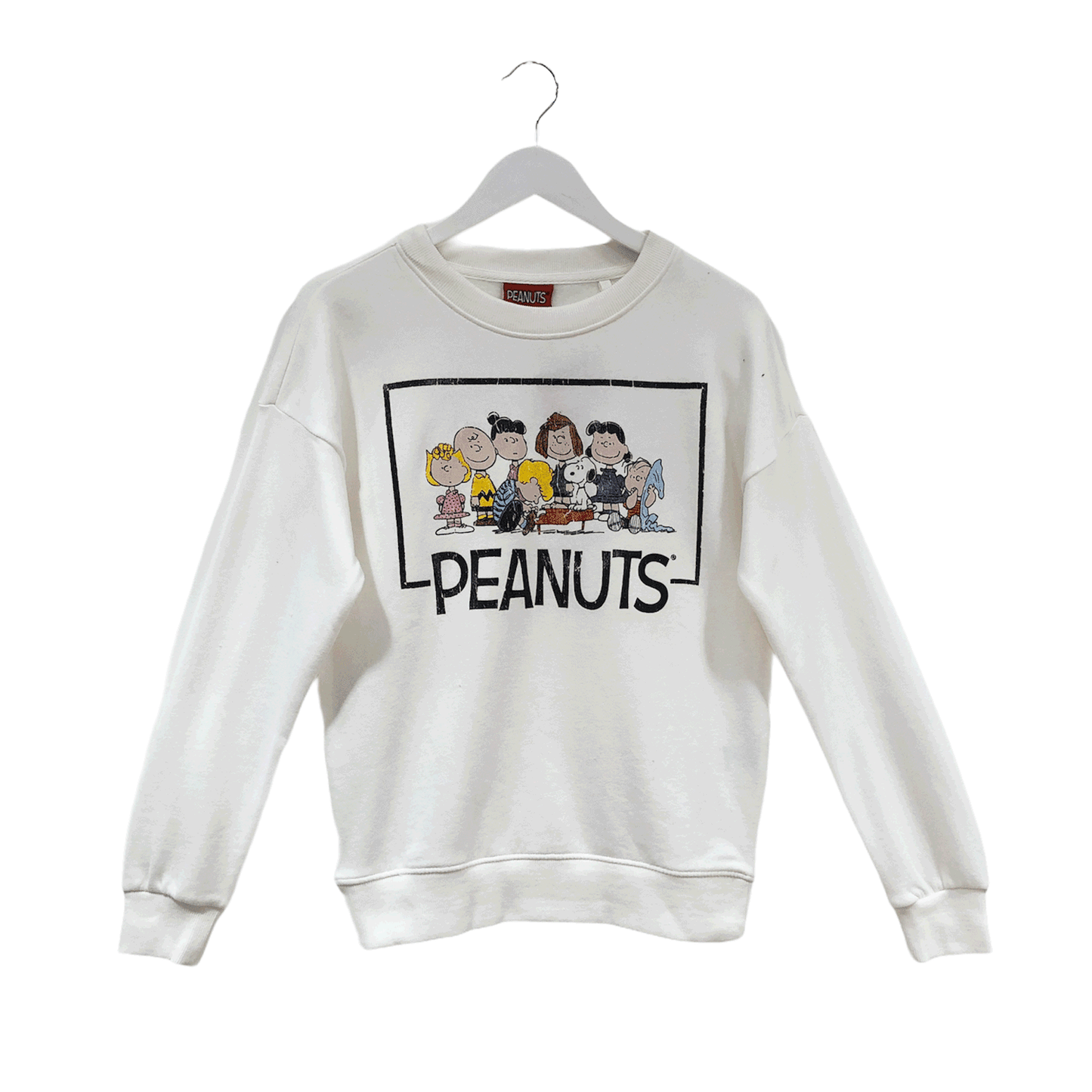 Peanuts - Group Pose Women's Crew Sweat