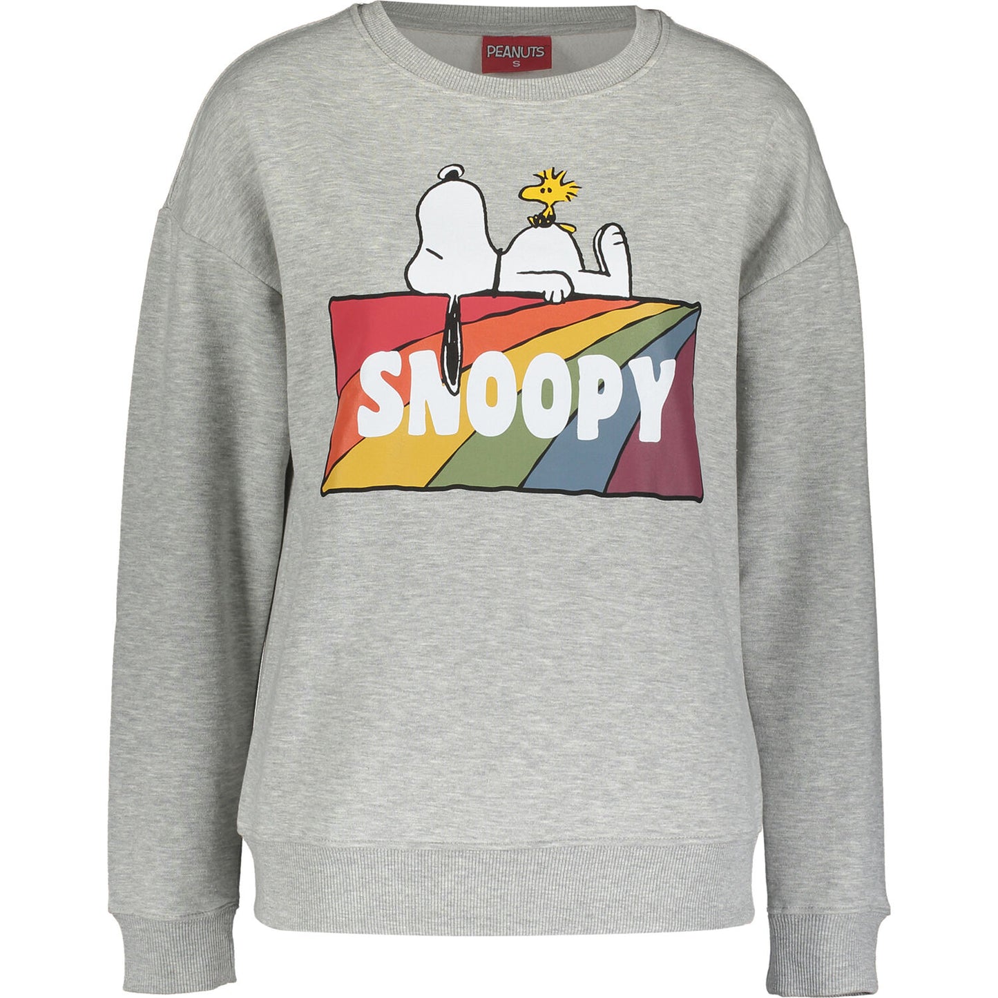 PEANUTS - RAINBOW SNOOPY BLOCK CREW SWEAT AW21