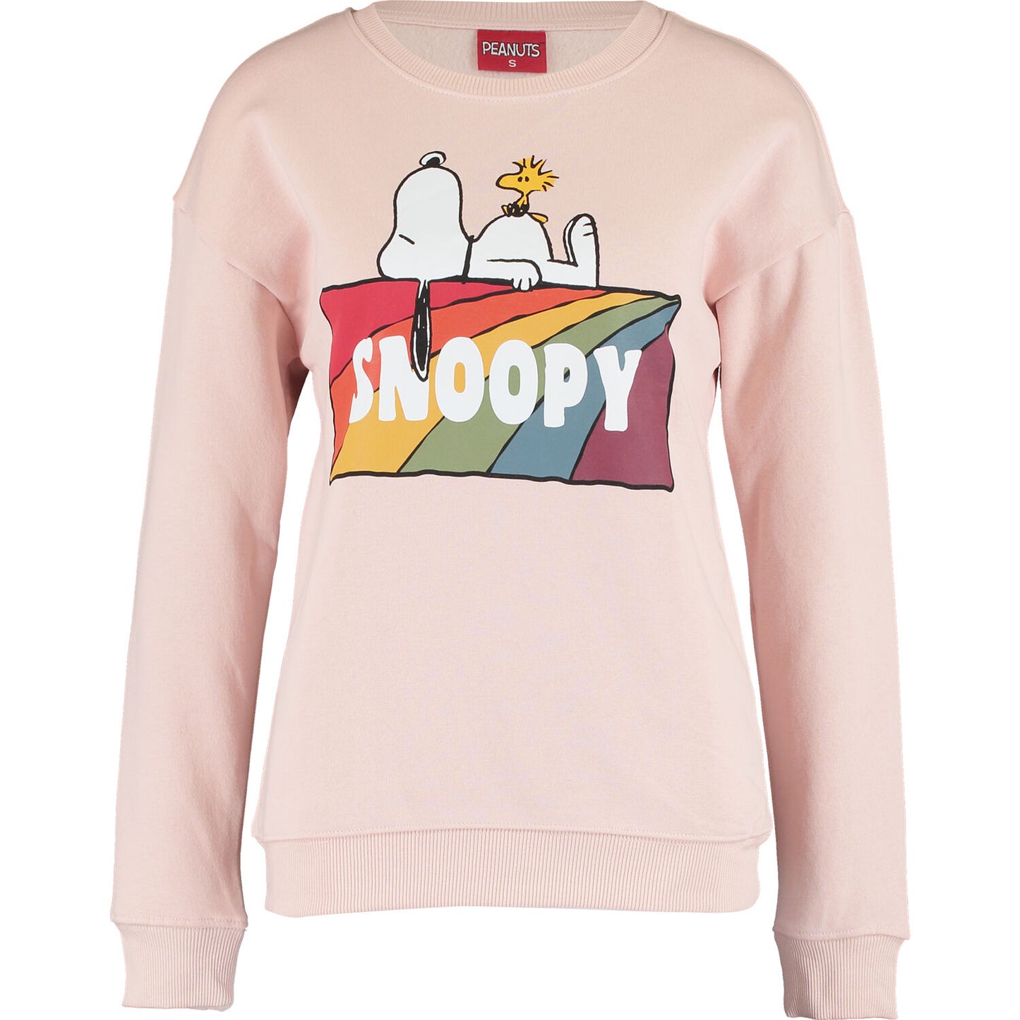 PEANUTS - RAINBOW SNOOPY BLOCK CREW SWEAT AW21