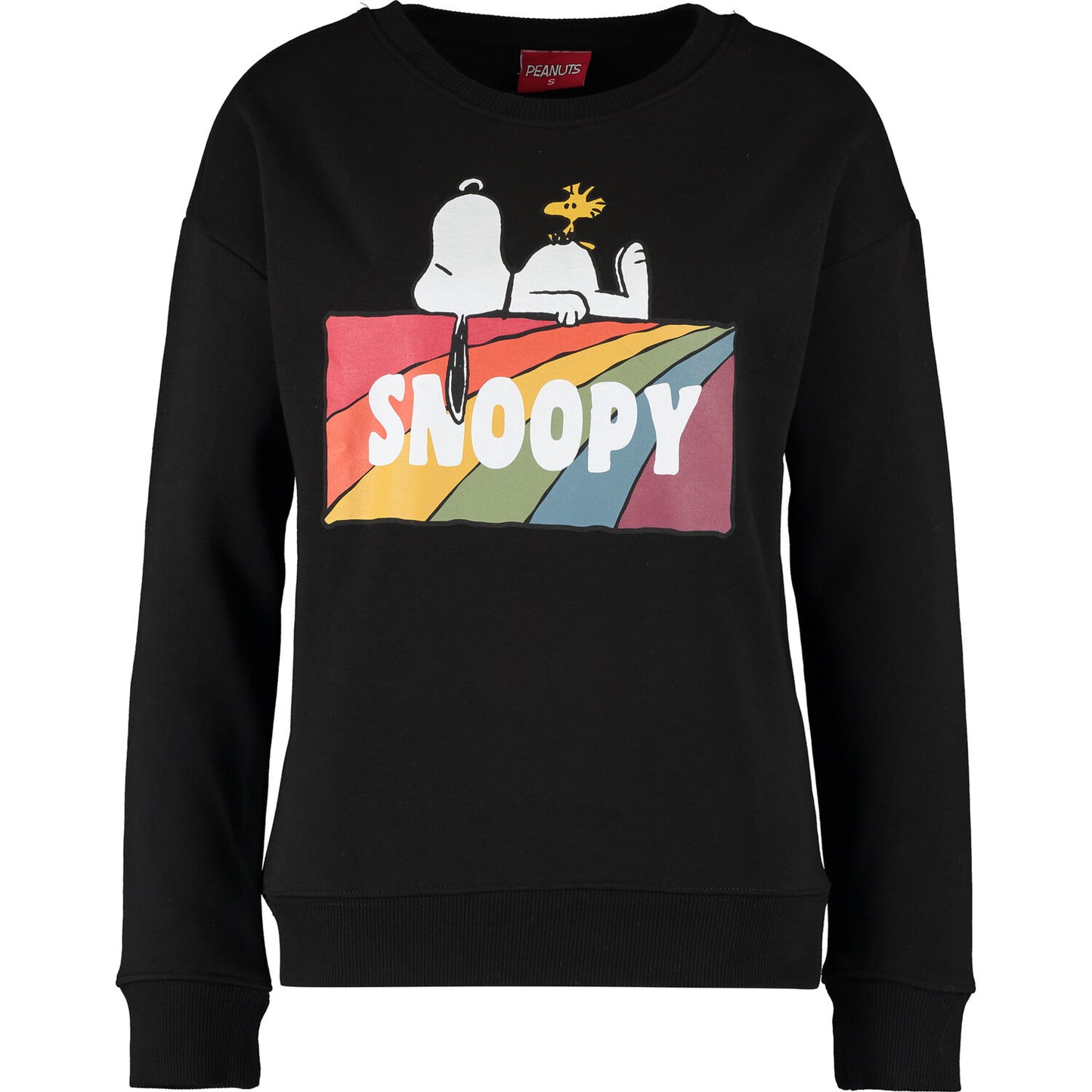 PEANUTS - RAINBOW SNOOPY BLOCK CREW SWEAT AW21