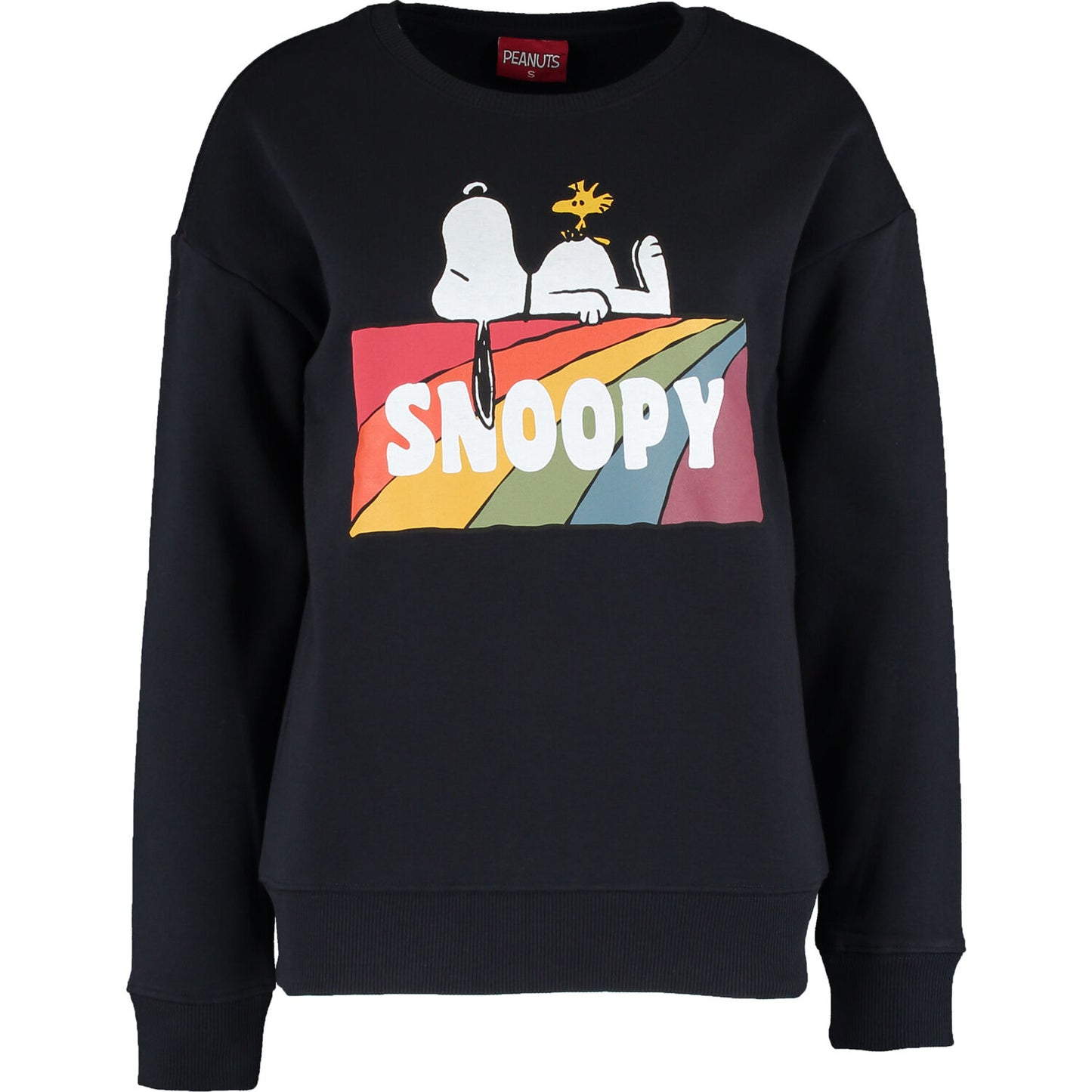 PEANUTS - RAINBOW SNOOPY BLOCK CREW SWEAT AW21