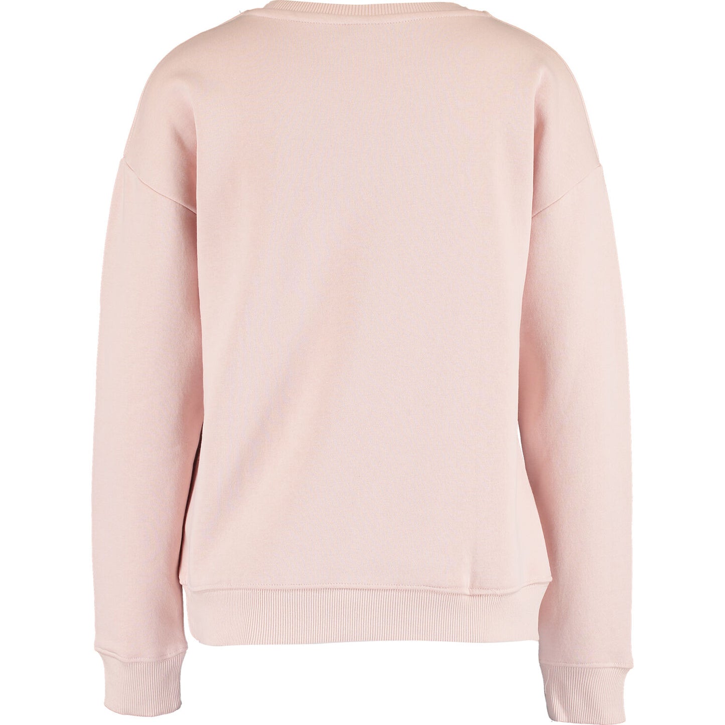 PEANUTS - TONAL SNOOPY CREW SWEAT AW21