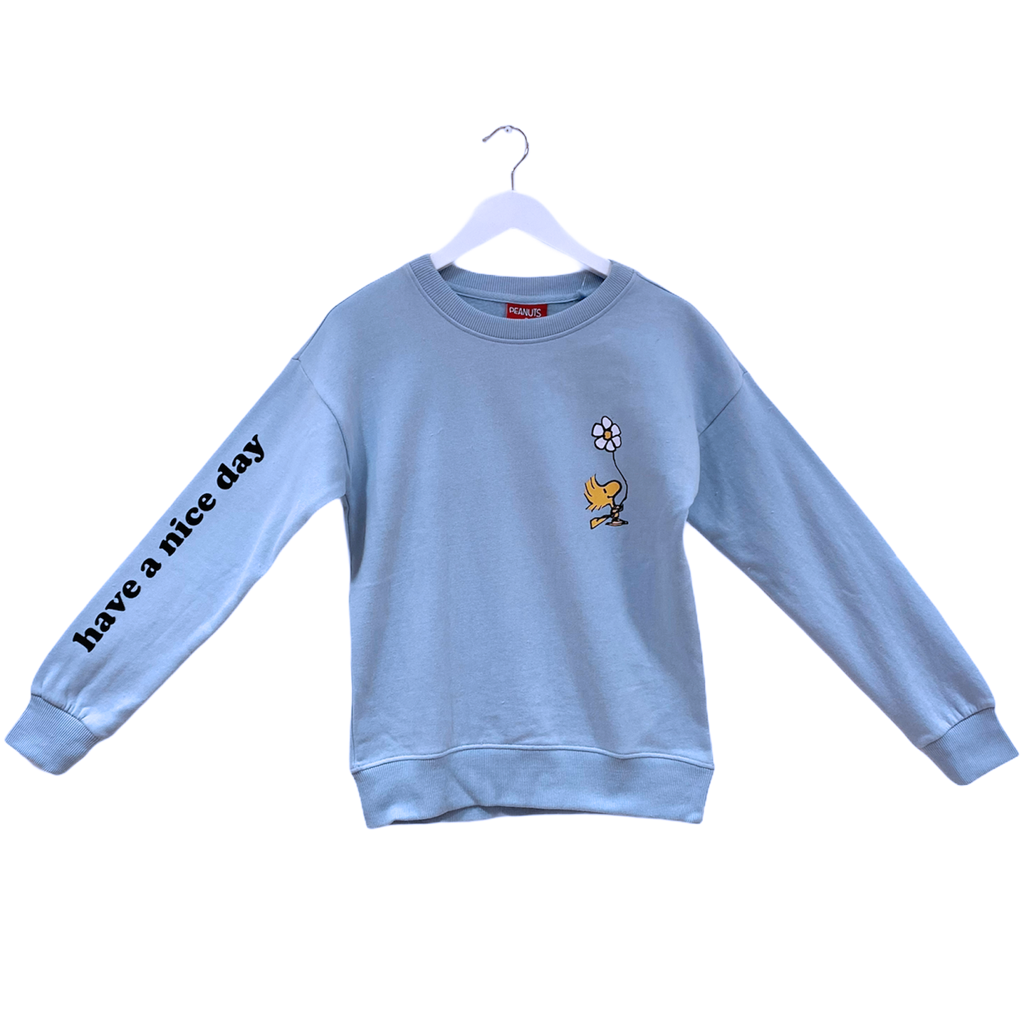 Peanuts - Have A Nice Day Women's Crew Sweat SS21