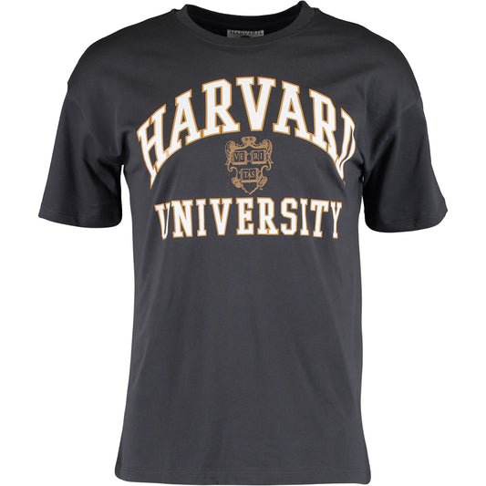Harvard - Word and Logo Womens Boyfriend