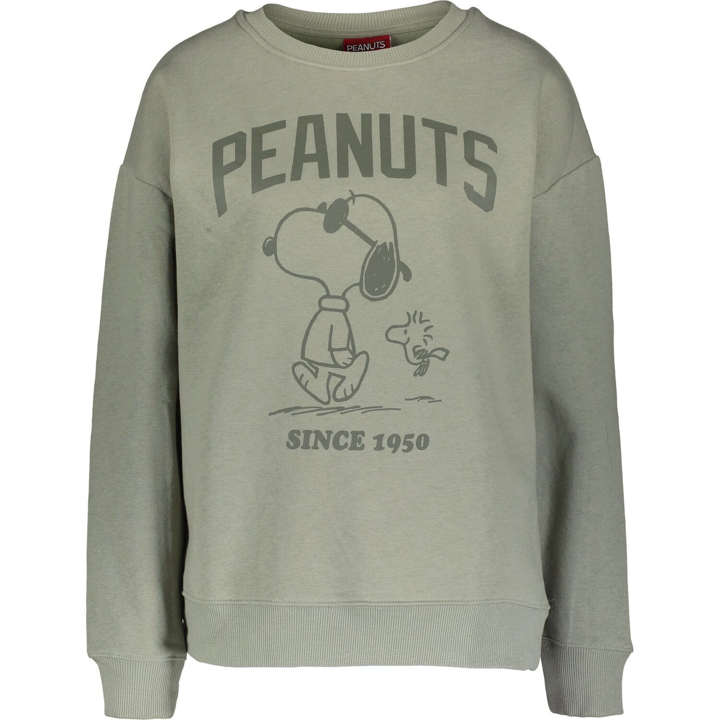 PEANUTS - TONAL SNOOPY CREW SWEAT AW21
