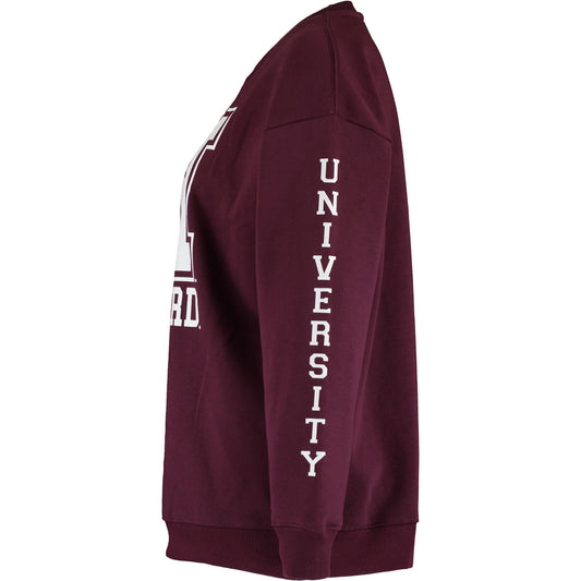 Harvard - Logo & Sleeve print Womens Boyfriend Crew Sweat