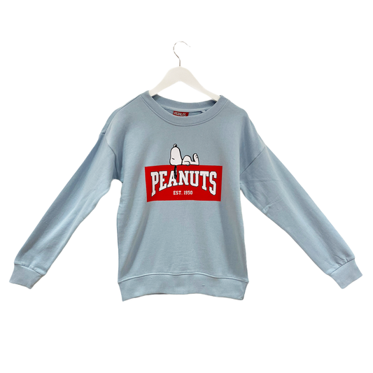 Peanuts - Peanuts Block Women's Crew Sweat SS21